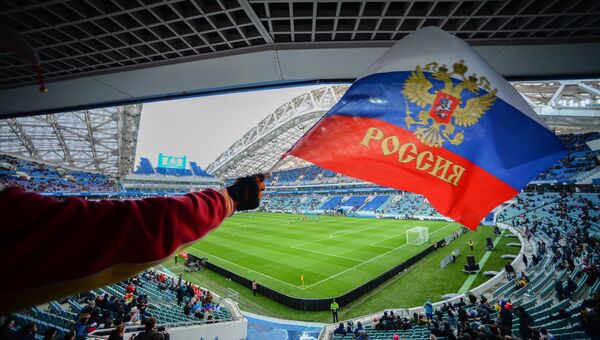 Болельщик с флагом России на трибуне стадиона Фишт в Сочи. Архивное фото