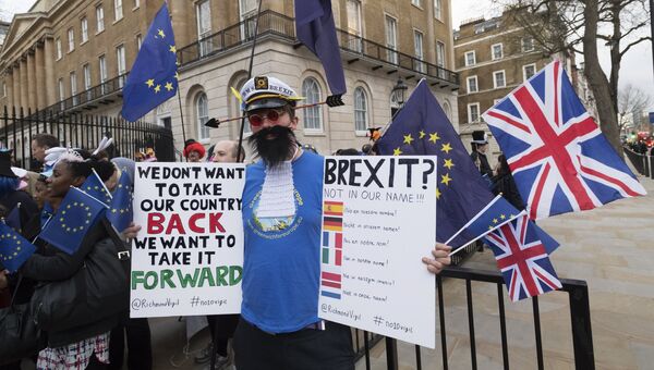 Противник выхода Великобритании из Европейского Союза на улице Лондона. Архивное фото