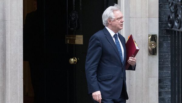 Министр по вопросам выхода из ЕС Дэвид Дэвис у резиденции главы правительства Великобритании на Даунинг-стрит, 10. Архивное фото
