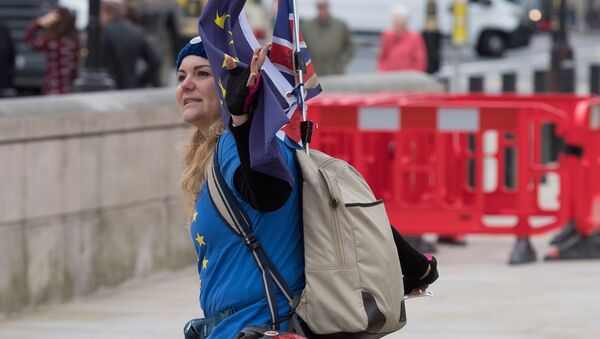 Противница выхода Великобритании из Европейского Союза на улице Лондона