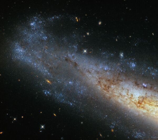Спиральная галактика NGC 1448