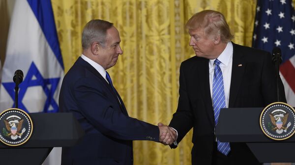 Встреча премьер-министра Израиля Биньямина Нетаньяху и президента США Дональда Трампа в Вашингтоне. Архивное фото