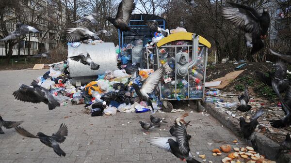 Невывезенный мусор во дворах Львова. Архивное фото