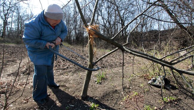 Жизнь в прифронтовом поселке Донецк-Северный в Донбассе. Архивное фото