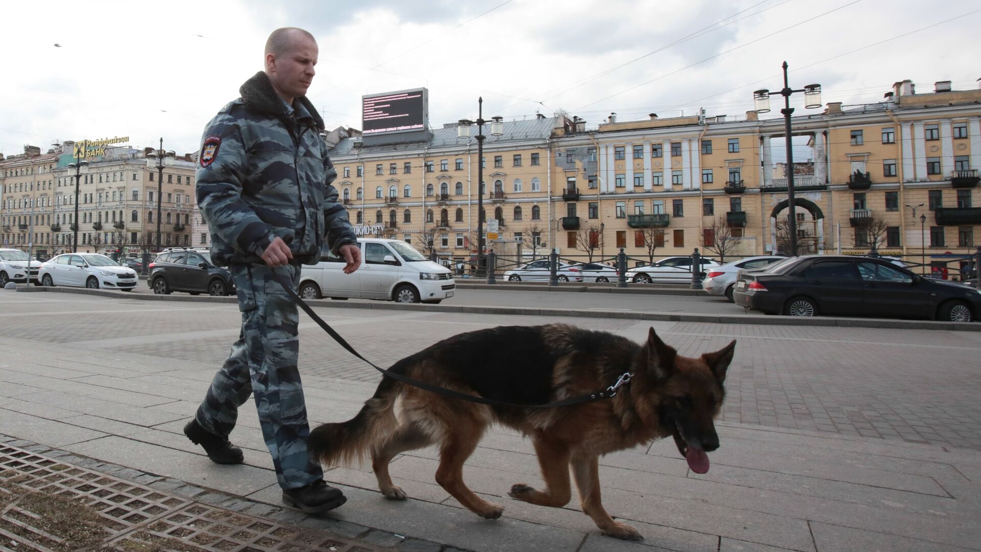 Сотрудник правоохранительных органов с собакой на улице в Санкт-Петербурге - РИА Новости, 1920, 24.10.2022