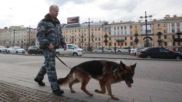 Сотрудник правоохранительных органов с собакой на улице в Санкт-Петербурге