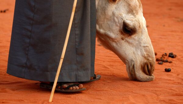 Мужчина стоит рядом со своим верблюдом на фестивале верблюдов в Саудовской Аравии