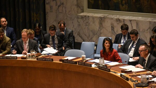 Заседание Совбеза ООН по Сирии. 7 апреля 2017
