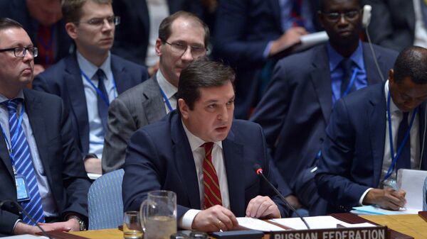 Заместитель постпреда РФ при ООН Владимир Сафронков на заседании Совбеза ООН по Сирии. Архивное фото