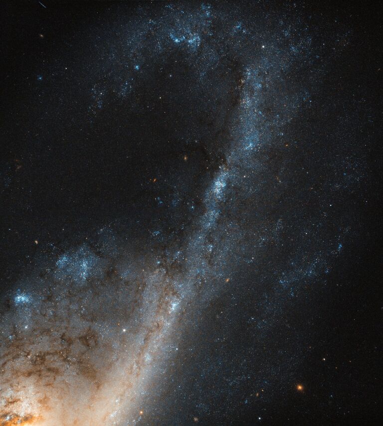 Яркая галактика NGC 4536, в которой формируются десятки новых звезд каждый год