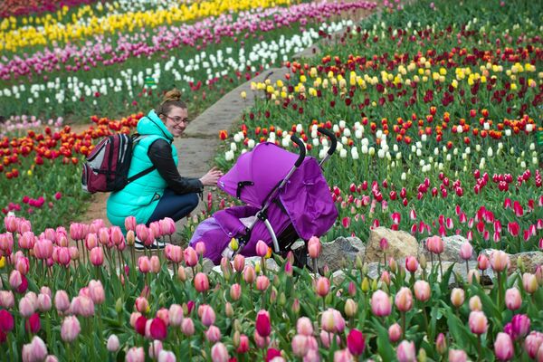 Женщина с коляской на открытии выставки Парад тюльпанов в Никитском ботаническом саду в Крыму