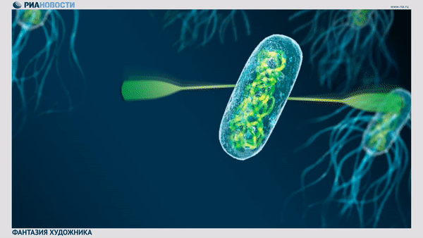 Бактерия с веслами