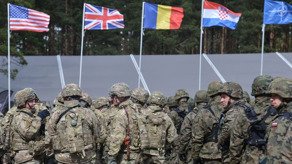 СМИ: ситуация на Украине разделила НАТО на три лагеря