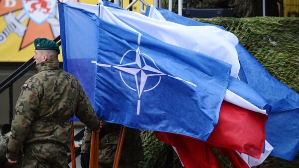 Солдат НАТО с флагом