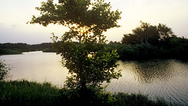 Река в Мордовии. Архивное фото