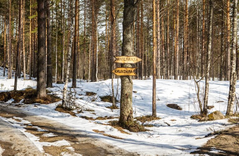 Указатель на развилке лесных дорог в Пряжинском районе Карелии