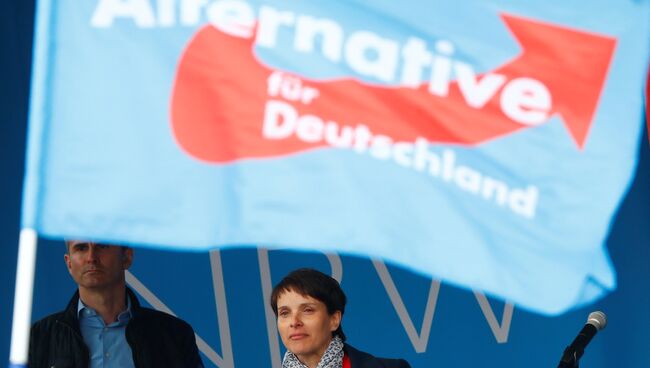 Лидер партии Альтернатива для Германии (Alternative für Deutschland, AfD) Фрауке Петри. Архивное фото