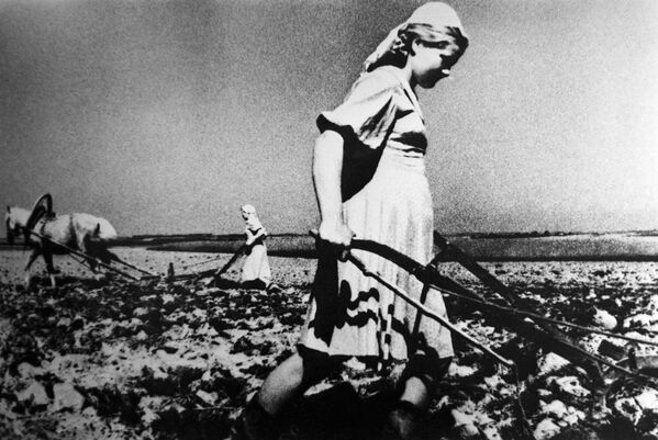 Женщины распахивают землю в годы Великой Отечественной войны