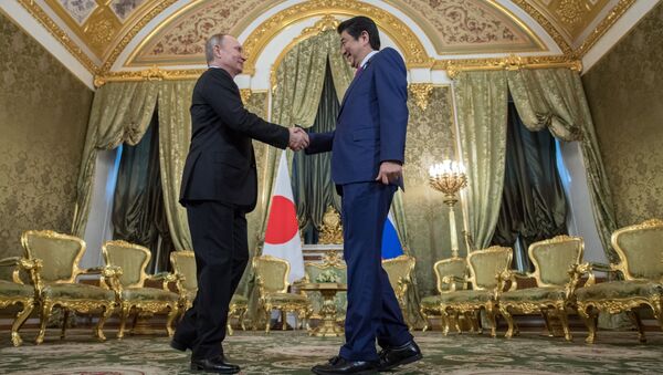 Президент РФ Владимир Путин и премьер-министр Японии Синдзо Абэ во время встречи в Москве. 27 апреля 2017 года