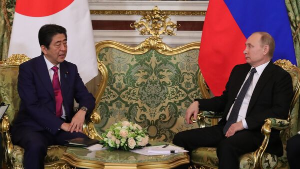 Президент РФ Владимир Путин и премьер-министр Японии Синдзо Абэ во время встречи в Москве. Архивное фото