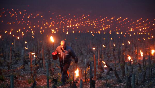 Винодел зажигает обогреватели, чтобы защитить виноградники во время заморозков во Франции