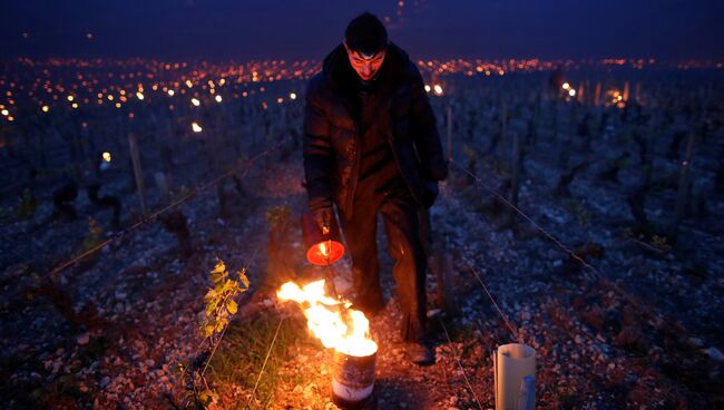 Винодел зажигает обогреватели, чтобы защитить виноградники во время заморозков во Франции