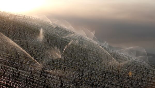 Распыляющие устройства, защищающие виноградники во время заморозков во Франции