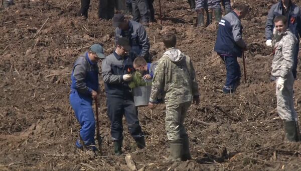 Участники акции Лес Победы посадили тысячи новых деревьев в Подмосковье