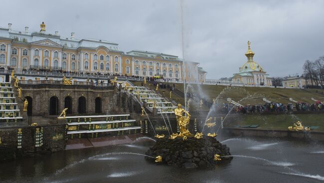 В Государственном музее-заповеднике Петергоф. Архивное фото