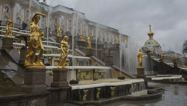 Фонтаны Большого каскада во время открытия нового летнего сезона в Государственном музее-заповеднике Петергоф