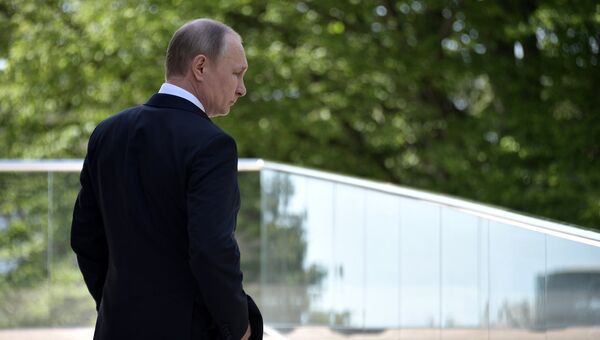Президент РФ Владимир Путин перед началом встречи с федеральным канцлером ФРГ Ангелом Меркель. 2 мая 2017