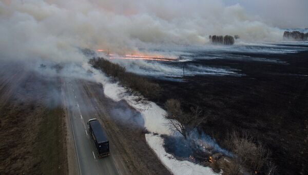Полевые пожары в Колыванском районе Новосибирской области