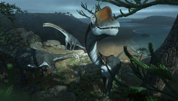 Случайно найденный в музее крупный динозавр оказался важным звеном эволюции крупнейших животных Земли