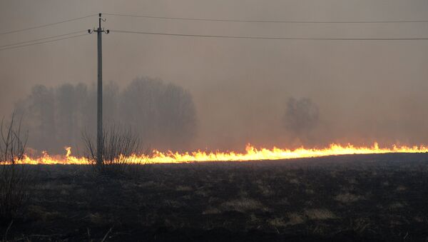 Полевые пожары в Колыванском районе Новосибирской области