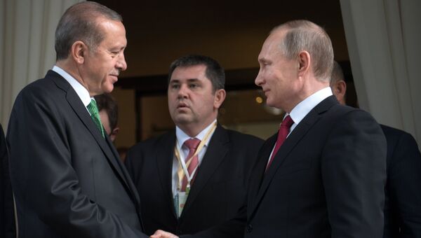 Президент РФ Владимир Путин и президент Турции Реджеп Тайип Эрдоган в Сочи. 3 мая 2017