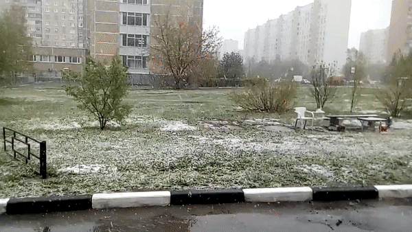 Снегопад в Москве. 8 мая 2017
