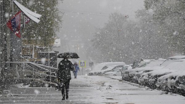 Прохожие во время снегопада в Москве. Архивное фото