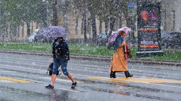 Пешеходы переходят дорогу в Москве во время снегопада. 8 мая 2017