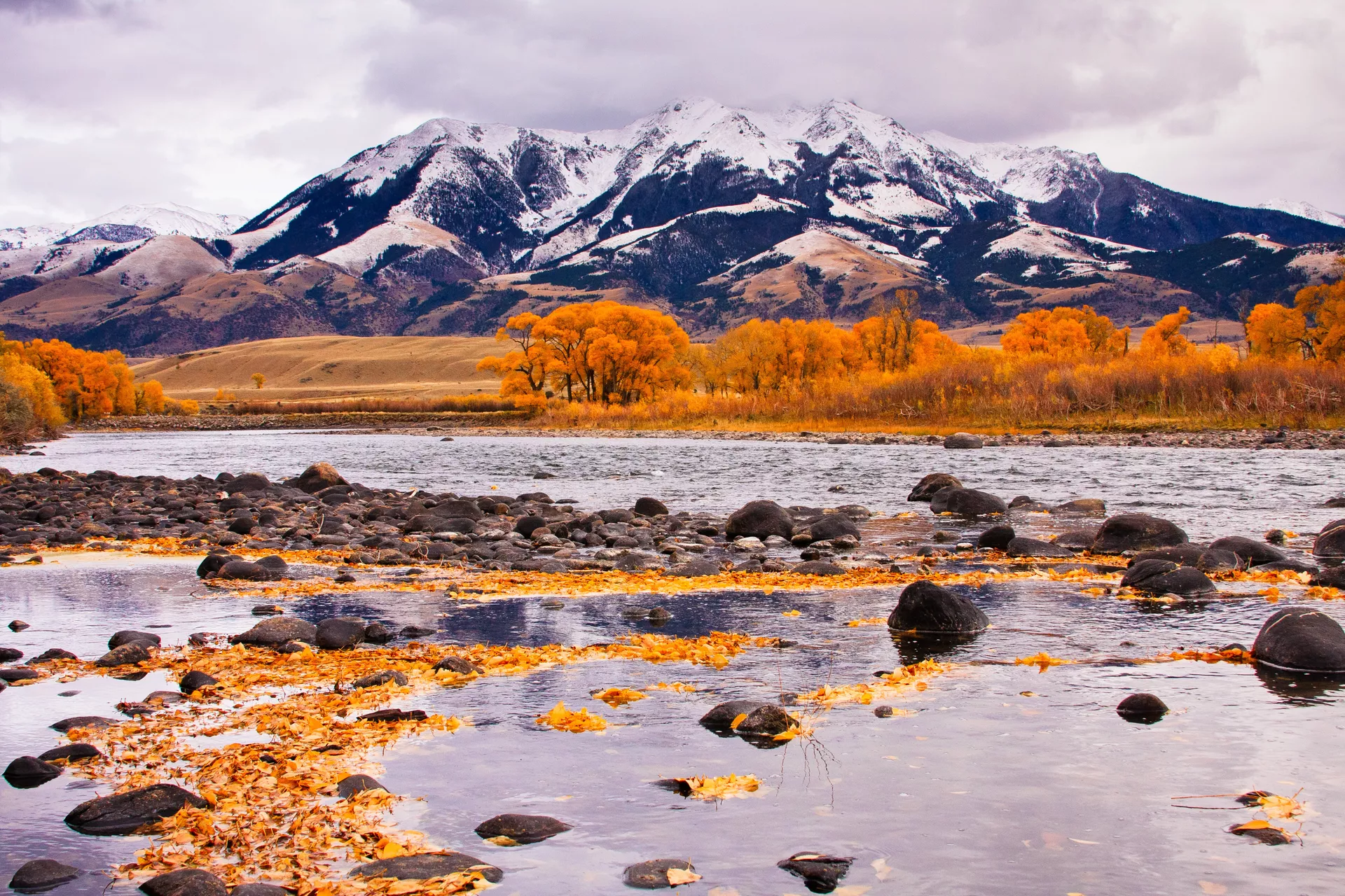 Άποψη της οροσειράς Absaroka και του ποταμού Yellowstone - RIA Novosti, 1920, 05.12.2025