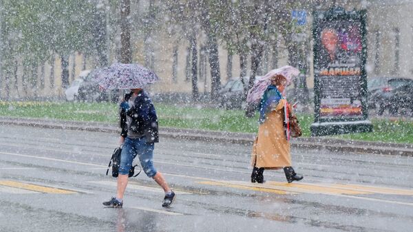 Пешеходы переходят дорогу в Москве во время снегопада. Архивное фото