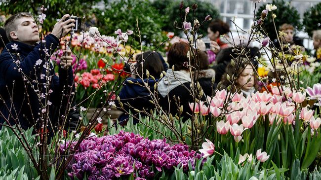 Посетители в Аптекарском огороде Ботанического сада МГУ. Архивное фото