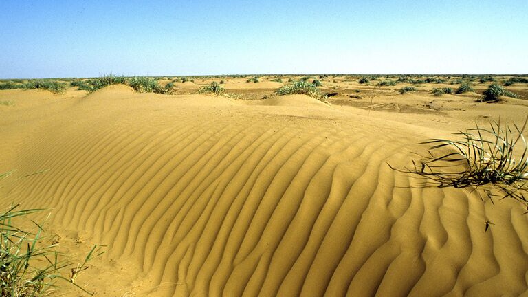 В Калмыкии летом температура доходит до +45°C