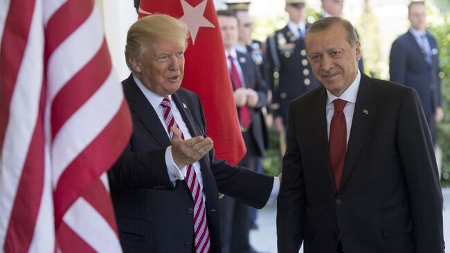 Президент США Дональд Трамп и Реджеп Тайип Эрдоган. Архивное фото