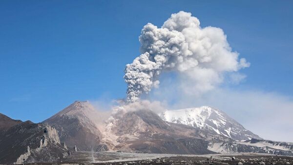 Выброс пепла на вулкане Шивелуч на Камчатке