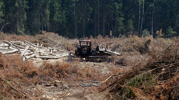 Эксперты ОНФ выявили экологические нарушения на сумму более 150 млрд рублей