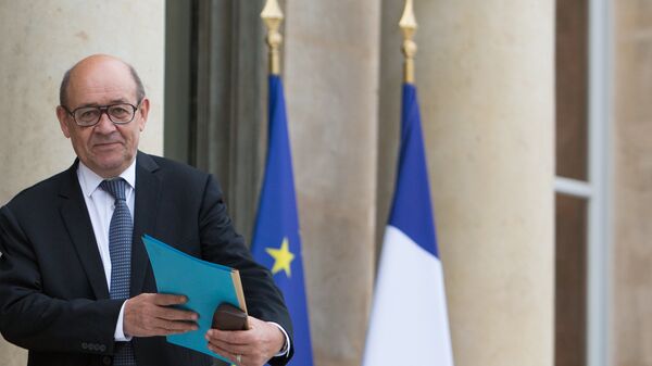 Министр иностранных дел Франции Жан-Ив Ле Дриан перед первым заседанием кабинета министров нового правительства Франции в Елисейском двореце. 18 мая 2017