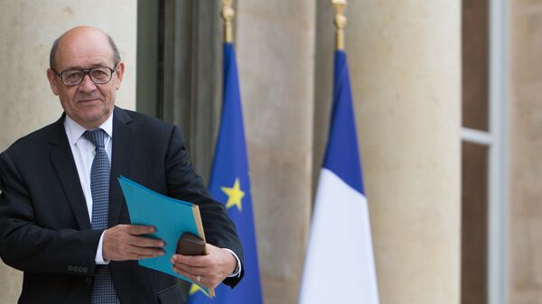 Министр иностранных дел Франции Жан-Ив Ле Дриан. Архивное фото