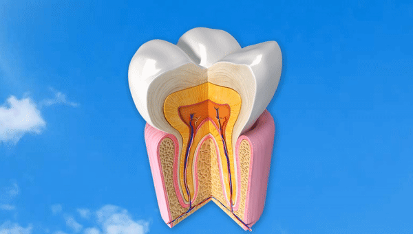 Недостаток витамина D, отражающийся в зубах, поможет ученым раскрыть пути миграций древних людей