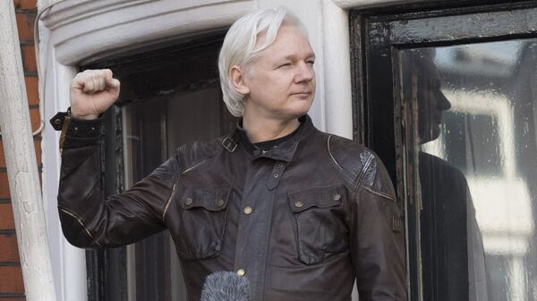 Сооснователь WikiLeaks Джулиан Ассанж на балконе здания посольства Эквадора в Лондоне. Архивное фото