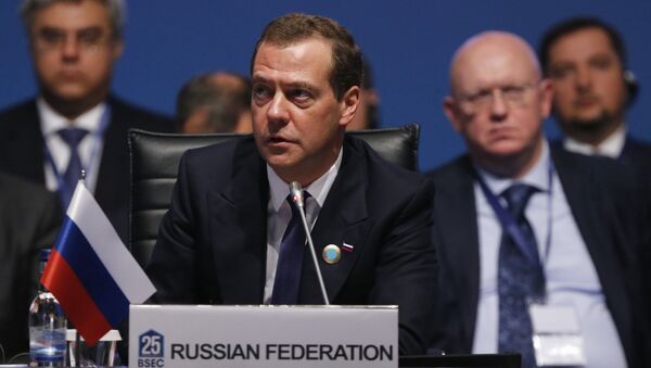 Председатель правительства РФ Дмитрий Медведев выступает на саммите ОЧЭС в Стамбуле. 22 мая 2017